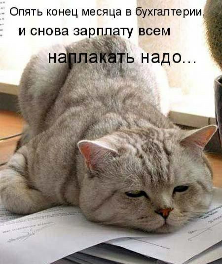Опять конец месяца в бухгалтерии