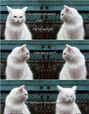 пищи на м Нап нем омптрюм 7 смптрим теснят