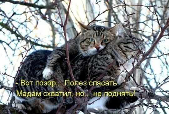Вот позор ПО лез спасать 9 Ёадам схватил но не одняТь ЭМ 5 ш Ра