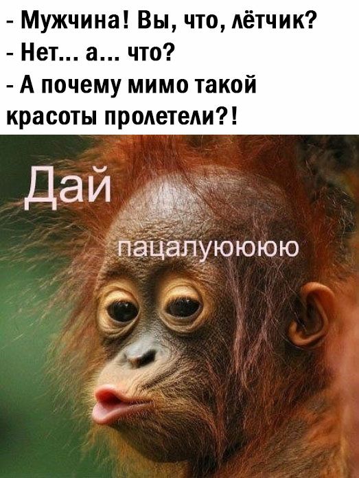 Мужчина Вы что лётчик Нет а что А почему мимо такой красоты пролетели