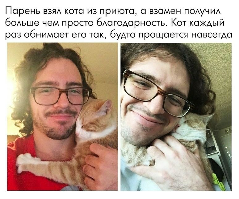 Парень взял кота из приюта а взамен получил больше чем просто благодарность Кот каждый раз обнимает его так будто прощается