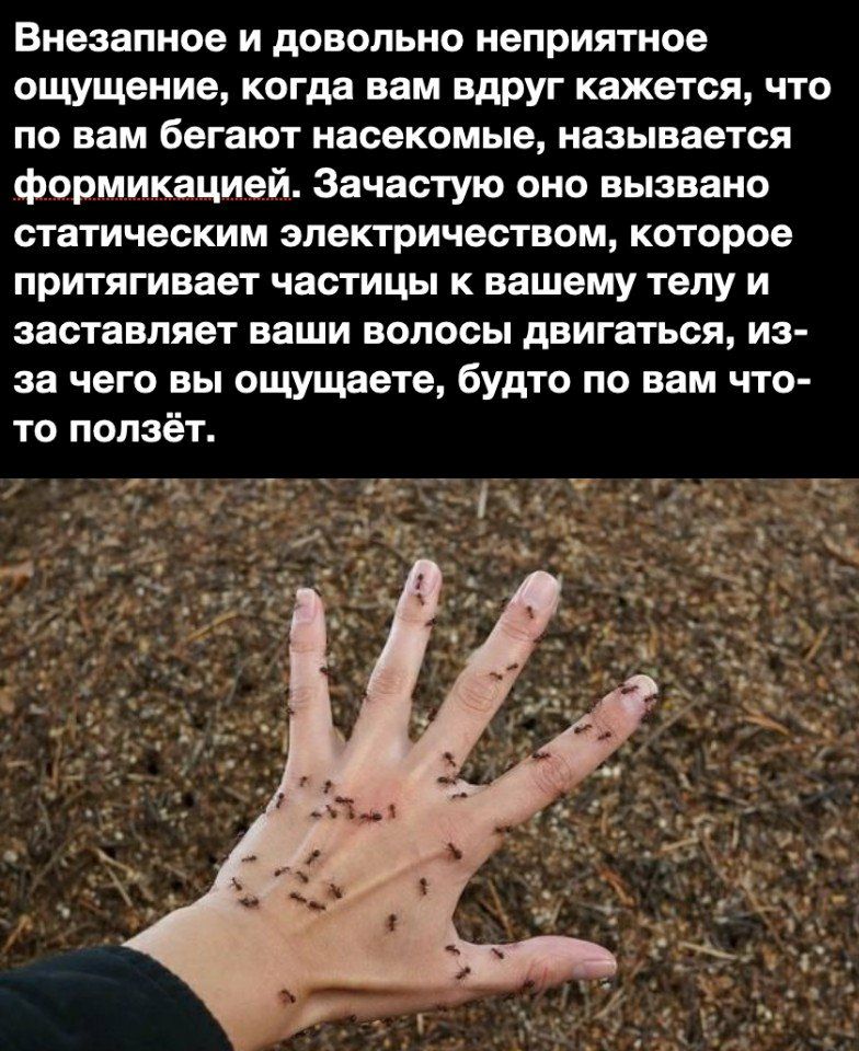 Внезапное и довольно неприятное ощущение когда вам вдруг кажется что по вам бегают насекомые называется формикацией Зачастую оно вызвано статическим электричеством которое притягивает частицы к вашему телу и заставляет ваши волосы двигаться из за чего вы ощущаете будто по вам что то ползёт