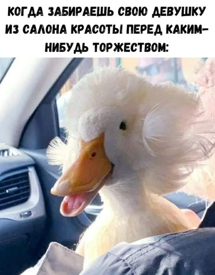 КОГДА ЗАБИРАЕШЬ СВОЮ АЕВУШКУ ИЗ САЛОНА КРАСОТЫ ПЕРЕД КАКИМ НИБУДЬ ТОРЖЕСТВОМ