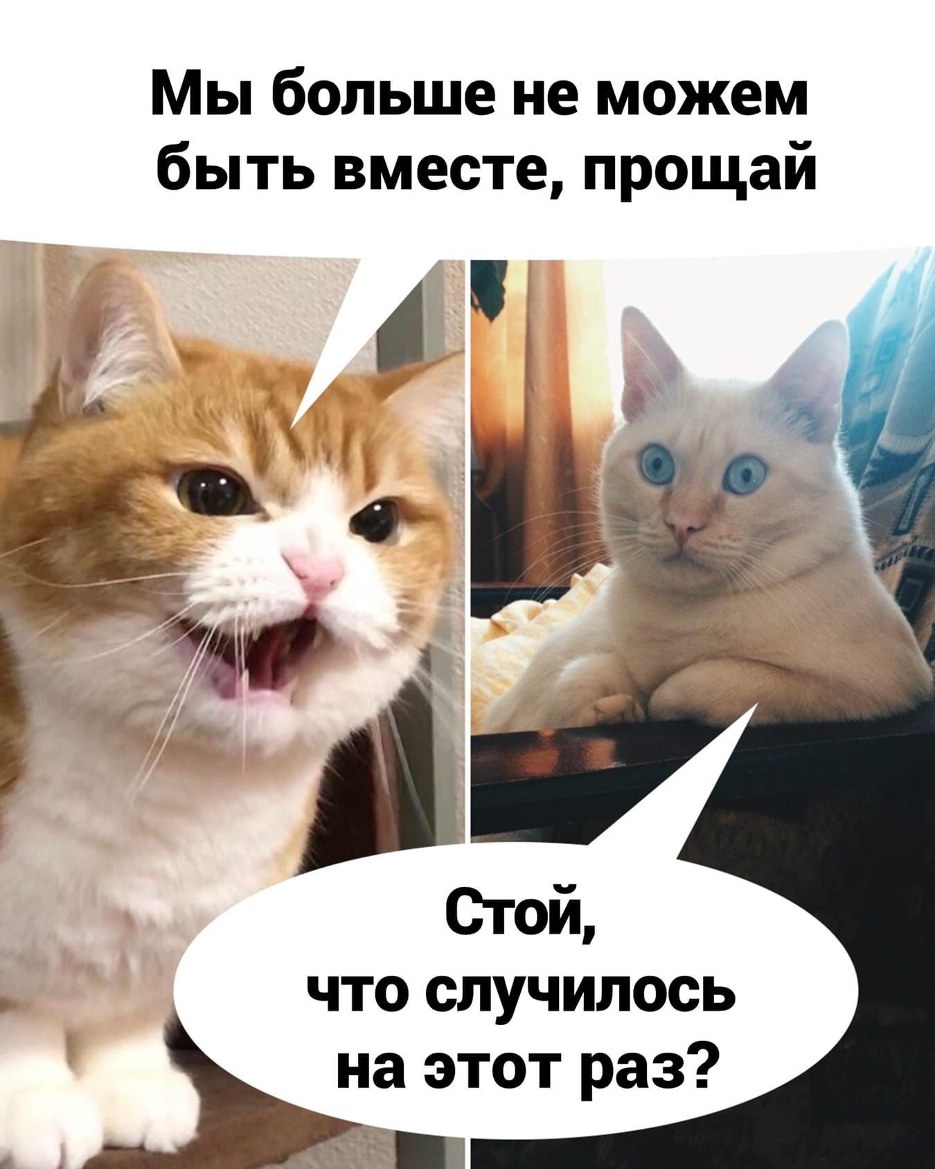 Мы больше не можем быть вместе прощай что случилось на этот раз
