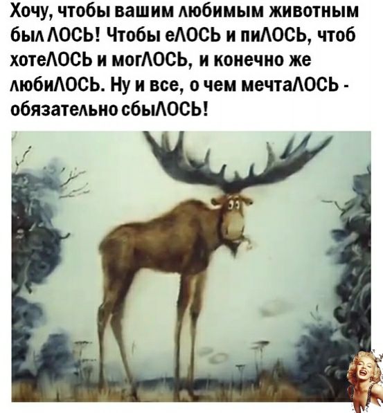 Хочу чтобы вашим Аюбимым животным быдАОСЬ Чтобы еАОСЬ и пиАОСЬ чтоб хотеюсь и могОСЬ и конечно же АюбиАОСЬ Ну и все о чем мечтаОСЬ обязатеАьно сбыОСЬ