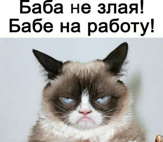 Баба не злая Бабе на работу
