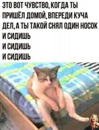 ЭТП ВПТ ЧУВСТВП КПП ТЫ ПРИШЕЛ ЦПМПИ ВПЕРШИ КУЧА дЕЛАТЫ ТАКПИ СНИП ЦИИ НПШК И СИЛИШЬ И СИДИШЬ И СИДИШЬ 45 й