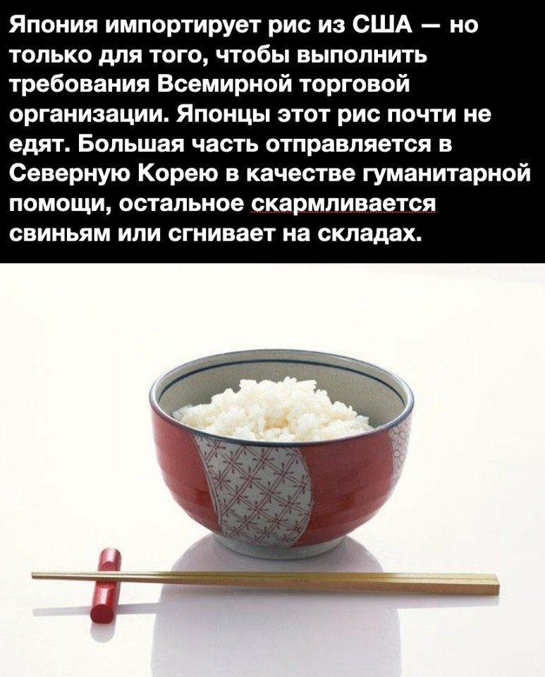 Япония импортирует рис из США но только для того чтобы выполнить требования Всемирной торговой организации Японцы этот рис почти не едят Большая часть отправляется в Северную Корею в качестве гуманитарной помощи остальное скармливается свиньям или сгнивает на складах
