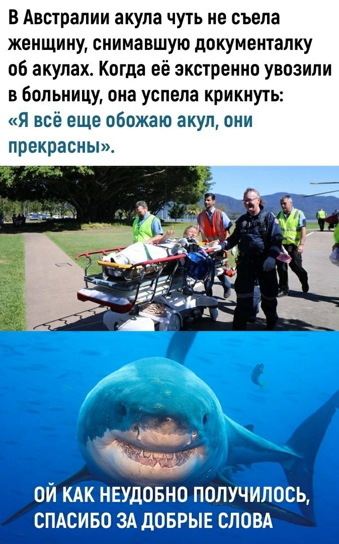В Австралии акула чуть не съела женщину снимавшую документапку об акулах Когда её экстренно увозили в больницу она успела крикнуть Я всё еще обожаю акул они прекрасны