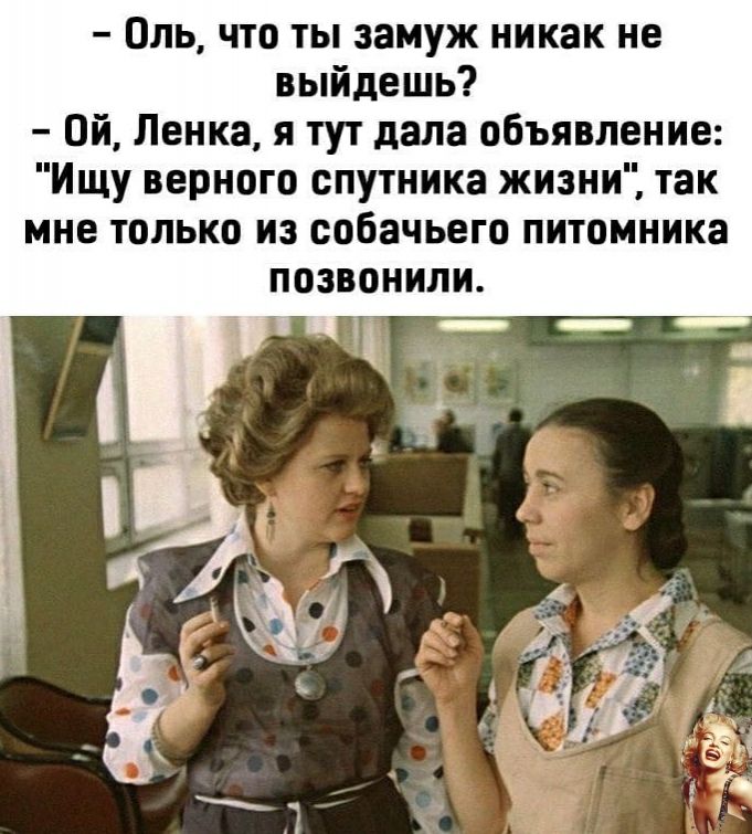 Оль что ты замуж никак не выйдешь Ой Ленка я тут дала объявление Ищу верного спутника жизни так мне только из собачьего питомника ПОЗВОНИЛИ