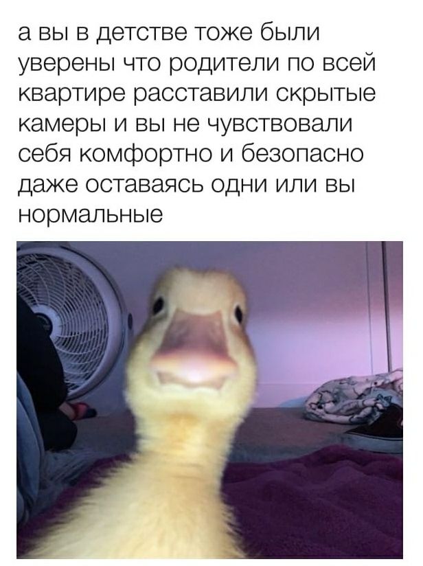 а вы в детстве тоже были уверены что родители по всей квартире расставили скрытые камеры И ВЫ не ЧУВСТВОВЭЛИ себя комфортно и безопасно даже оставаясь одни или вы нормальные