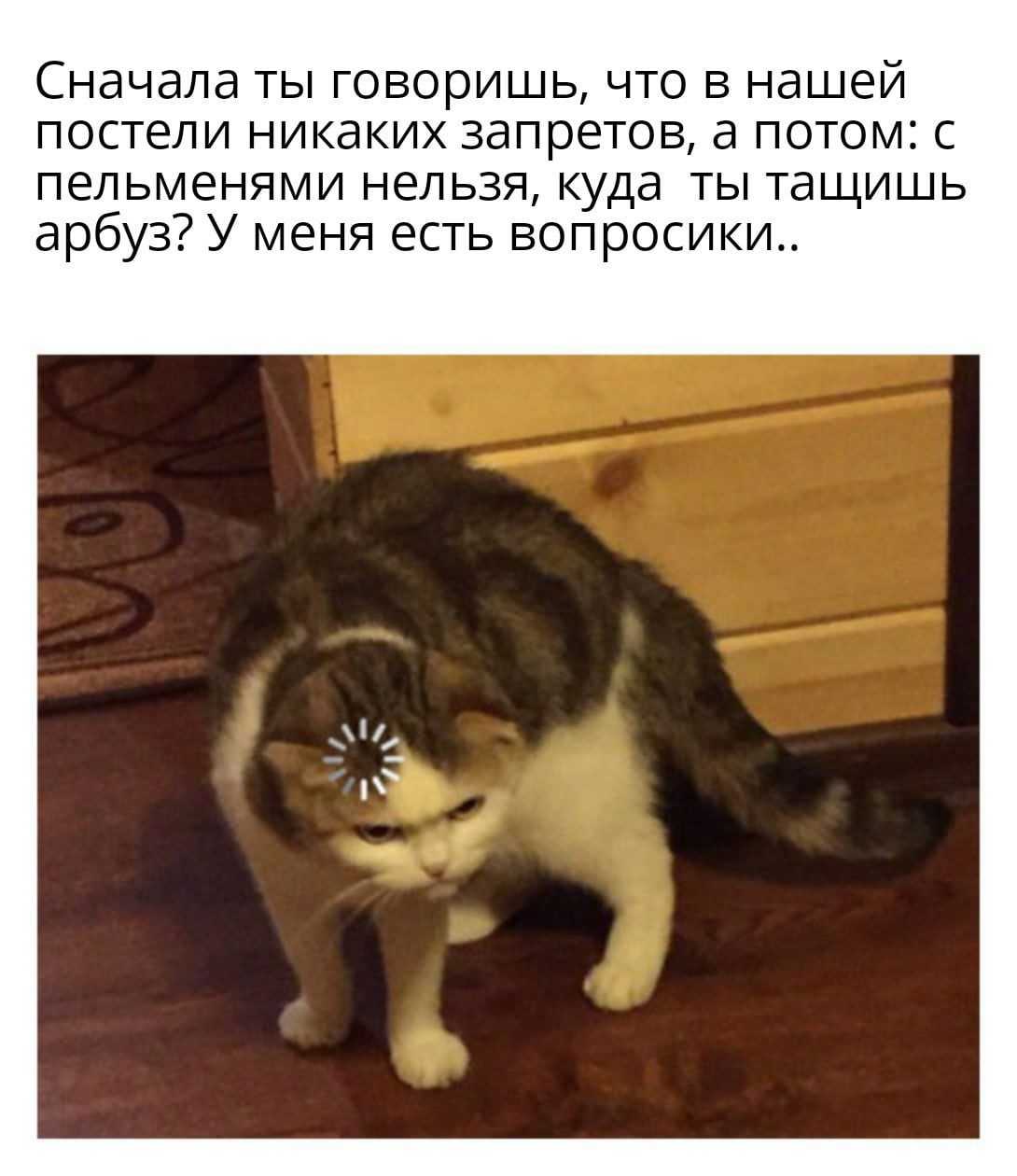 Сначала ты говоришь что в нашей постели никаких запретов а потом с пельменями нельзя куда ты тащишь арбуз У меня есть вопросики