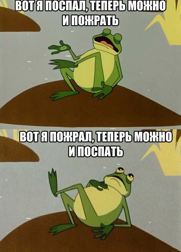 ШПРМТЪ 9