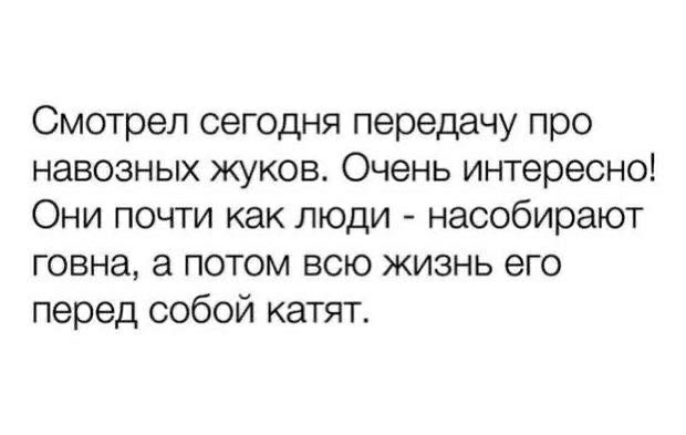 Смотрел сегодня передачу про навозных жуков Очень интересно Они почти как люди насобирают говна а потом всю жизнь его перед собой катят