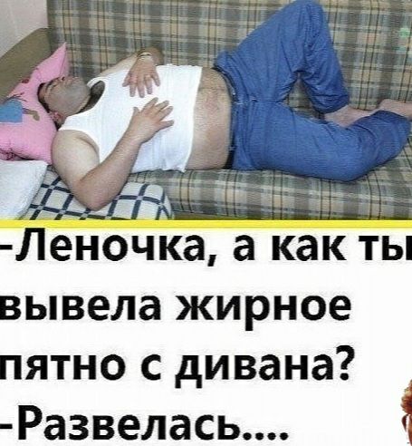 Леночка а как ты вывела жирное пятно с дивана _ Развелась