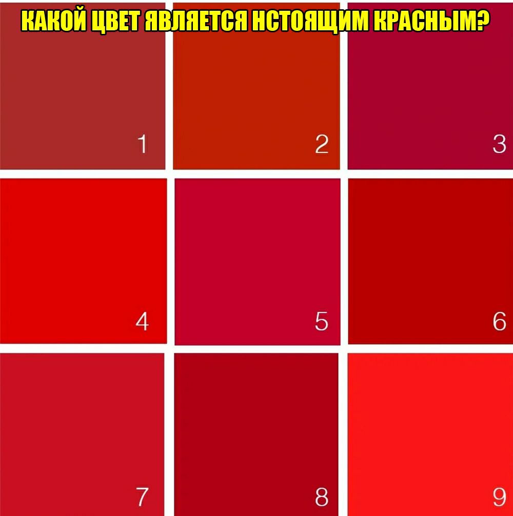 _Ё_ НАНПЙ ЦВЕТ ЯВЛЯЕПБЯ ЯВТЯЯЩИМ ЯРАБЯЫМ