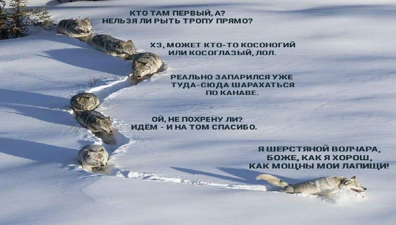 хз мпжЕт кто тц кпспнцгий или коспгпдзыйлцп РЕАдьнр зАпдрился УЕ тудА сюдА шмцхдтызя пп кдидвв ой НЕ похгену и НА том спдсиво я ШЕРСТЯНОЙ ВОПЧАРА БОЖЕ КАК Я хорош мощнь мои мпищи