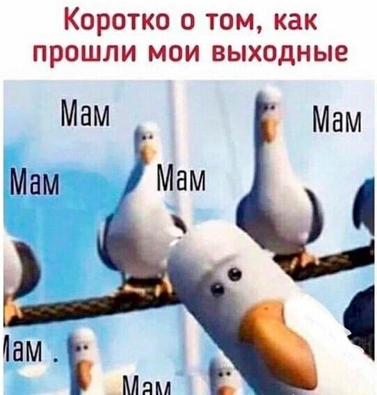 КОРОТКО О ТОМ как ПРОШЛИ МОИ ВЫХОДНЫЕ МВМ _ Мам