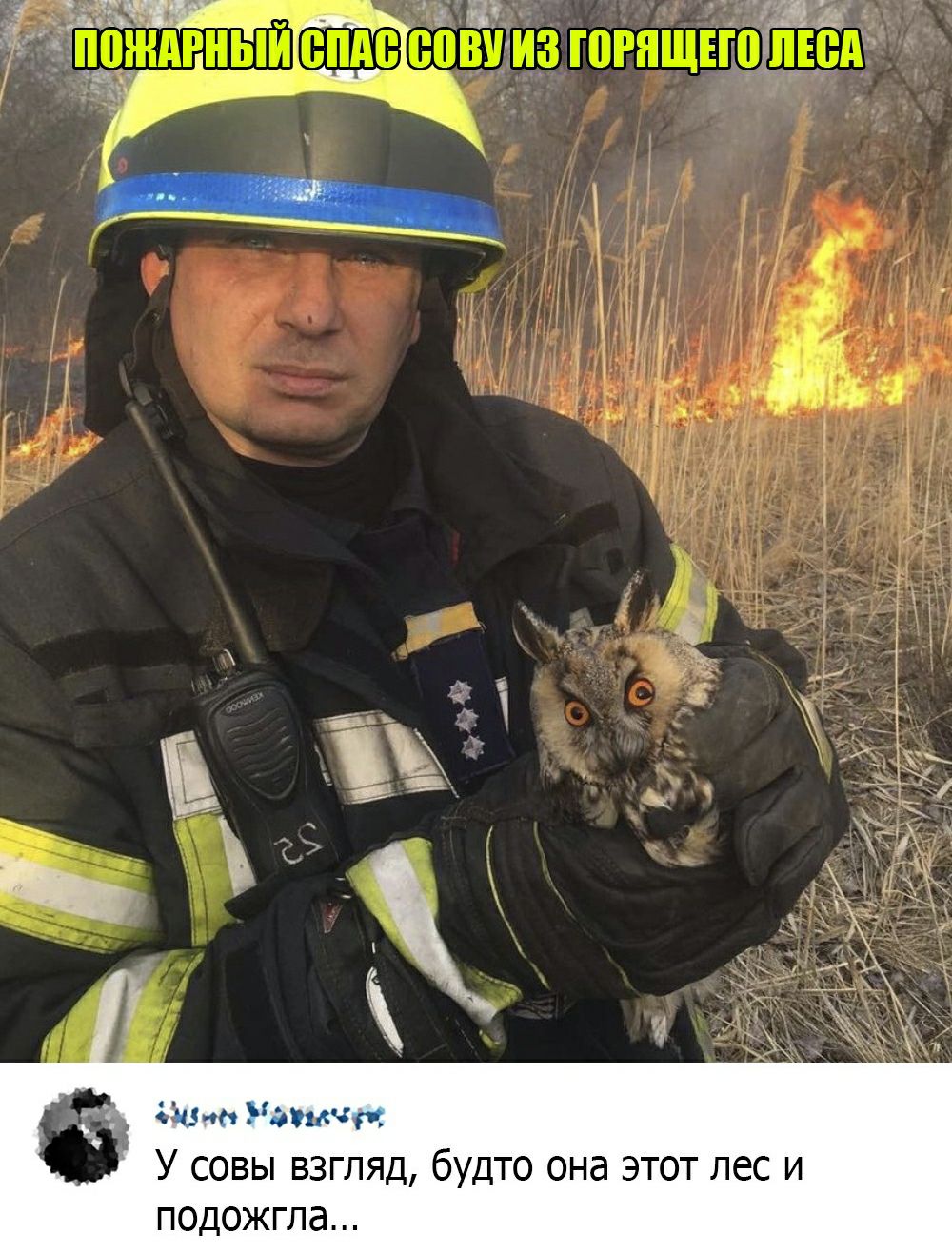 _ _ д Д Ё ён Уды р У совы взгляд будто она этот лес и подожгла