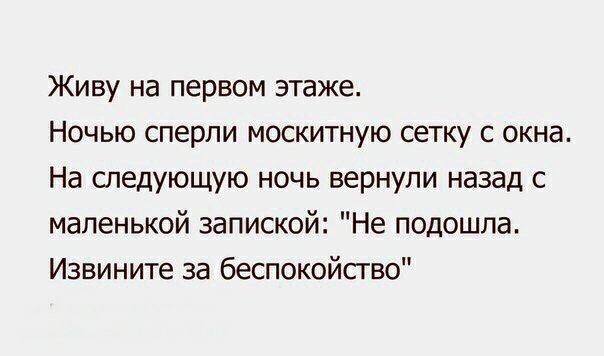 Живу на первом этаже Ночью сперли москитную сетку с окна На следующую ночь вернули назад с маленькой запиской Не подошла Извините за беспокойство