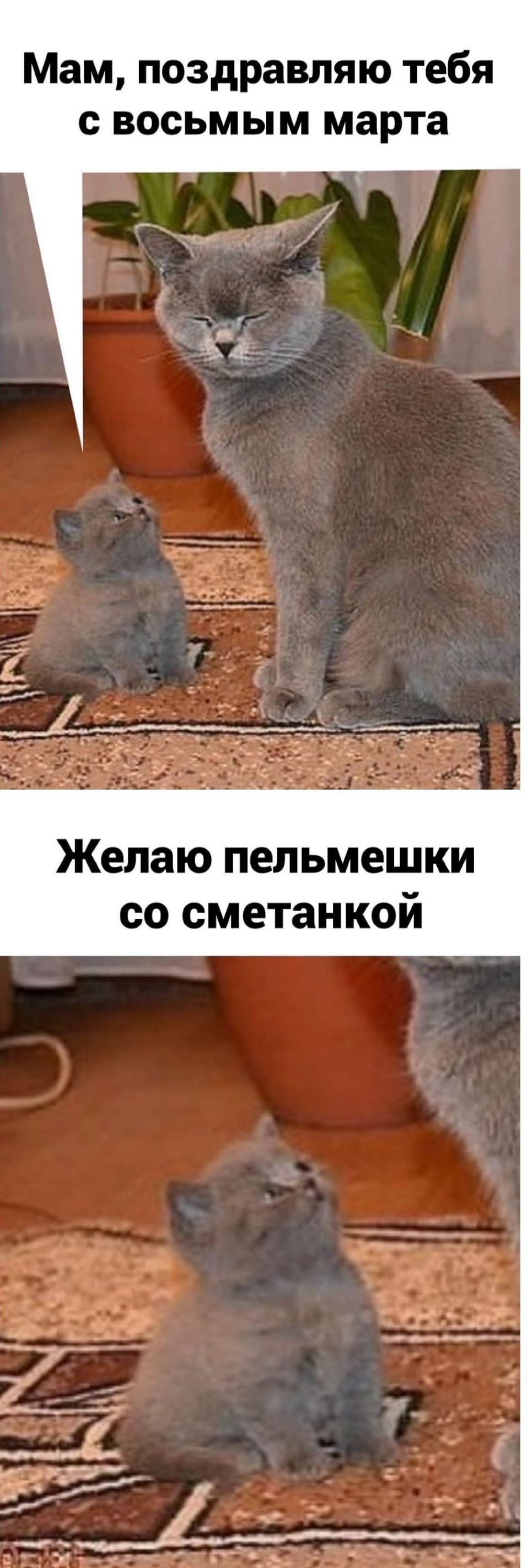Мам поздравляю тебя с восьмым марта Желаю пельмешки со сметанкой