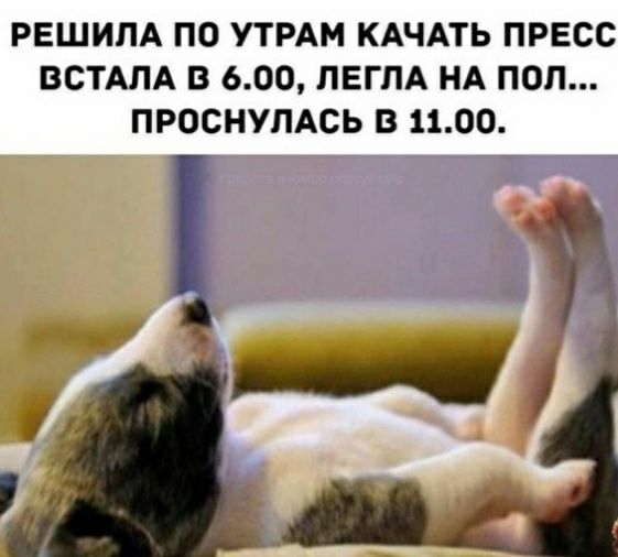 РЕШИПА ПО УТРАМ КАЧАТЬ ПРЕСС ВСТАЛА В 600 ЛЕГЛА НА ПОЛ ПРОСНУЛАСЬ В 1100