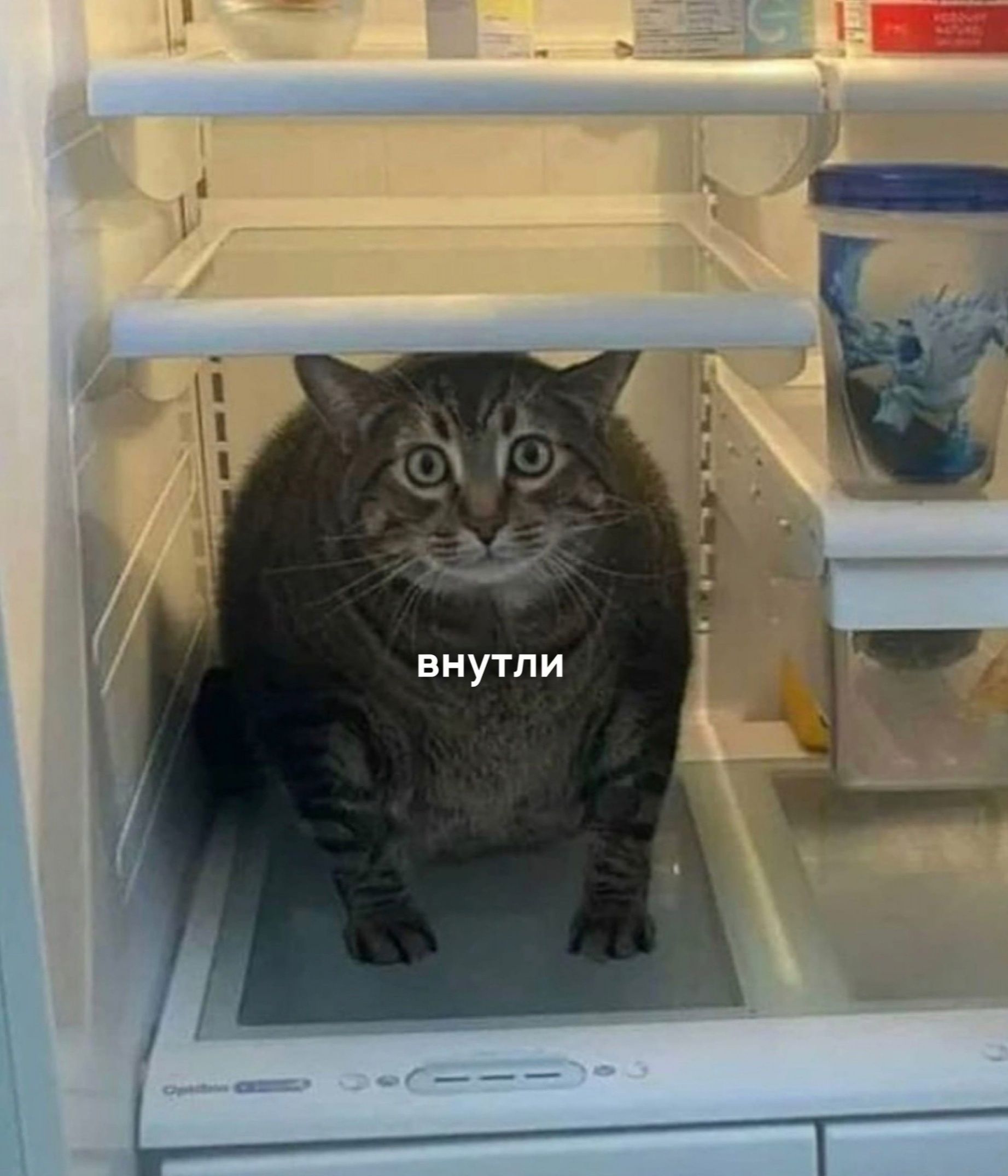 внутли