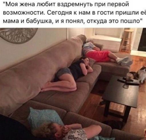 Моя жена любит вздремнуть при первой возможности Сегодня к нам в гости пришли 9 мама и бабушка и я понял откуда это пошло
