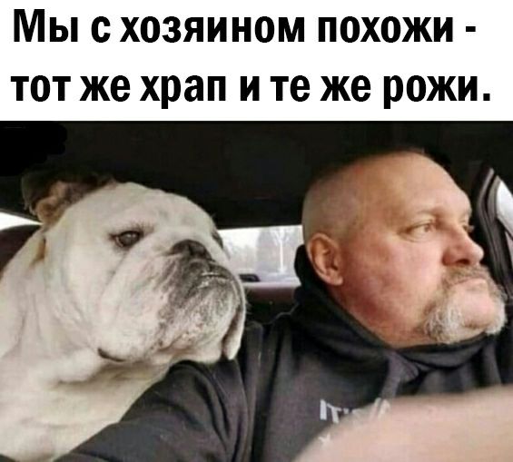 Мы с хозяином похожи тот же храп и те же рожи