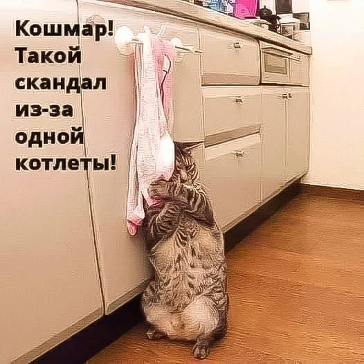 КошЩір Такой скаидЬл из за одно котле ы