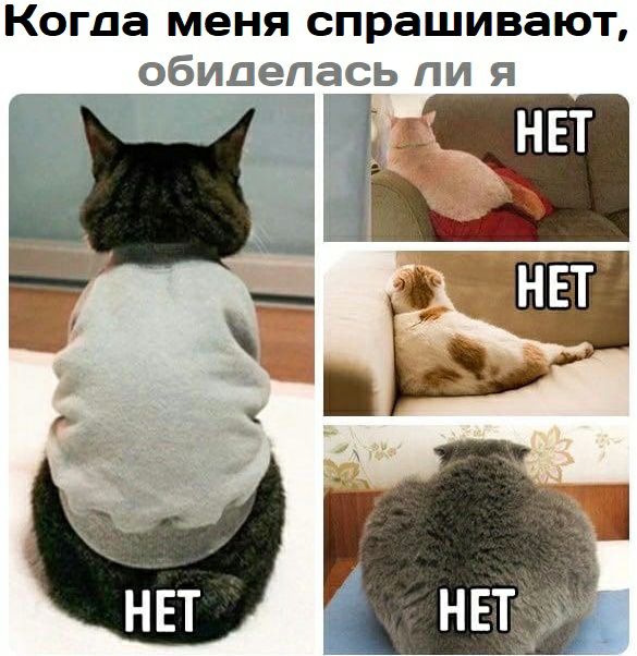 Когда меня спрашивают обиделась ли я
