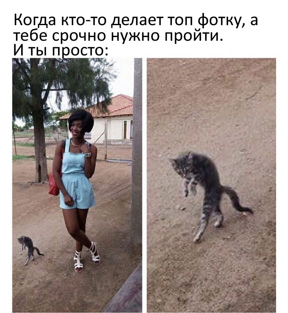 Когда кто то делает топ фоткуа тебе срочно нужно пройти И ты п__оост9