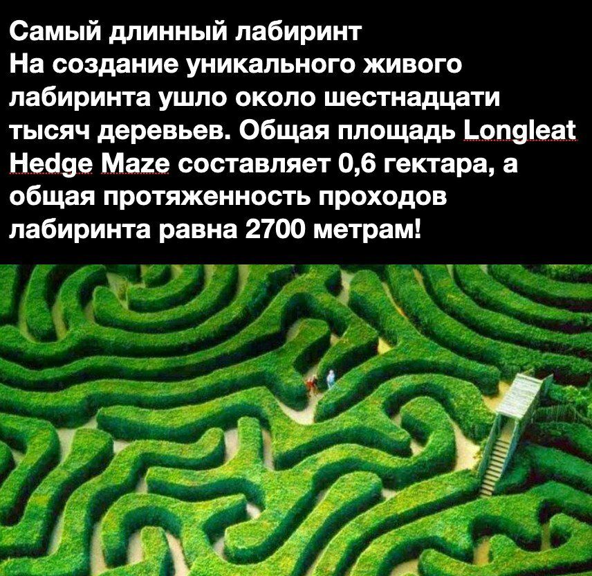 Жил в лабиринте. Длинный Лабиринт. Проход Лабиринта в кумире. Правила прохождения Лабиринта. Живой Лабиринт ночь.