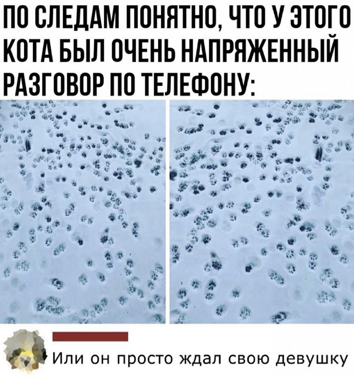 ПО СЛЕДАМ ППНЯТНП ЧТО У 3Т0_0 КОТА БЫЛ ОЧЕНЬ НАПРЯЖЕННЫИ у _ ь__ъ _Ч 1 О __ч и д 0 _ _ да 3 1 3 э в а _ д8 е ч о у в 4 г Р д __ о аъ Ё __ 3 др _ _ в 3 и в ___ 6 в 4 в ч 02 __ч 1 дв ю 1 я _ п _ да С оч _ и и и 17 д д и _ __ С з 2 Х Ф _ГР 93 Ё а Р д и ч О а а Или он просто ждал свою девушку