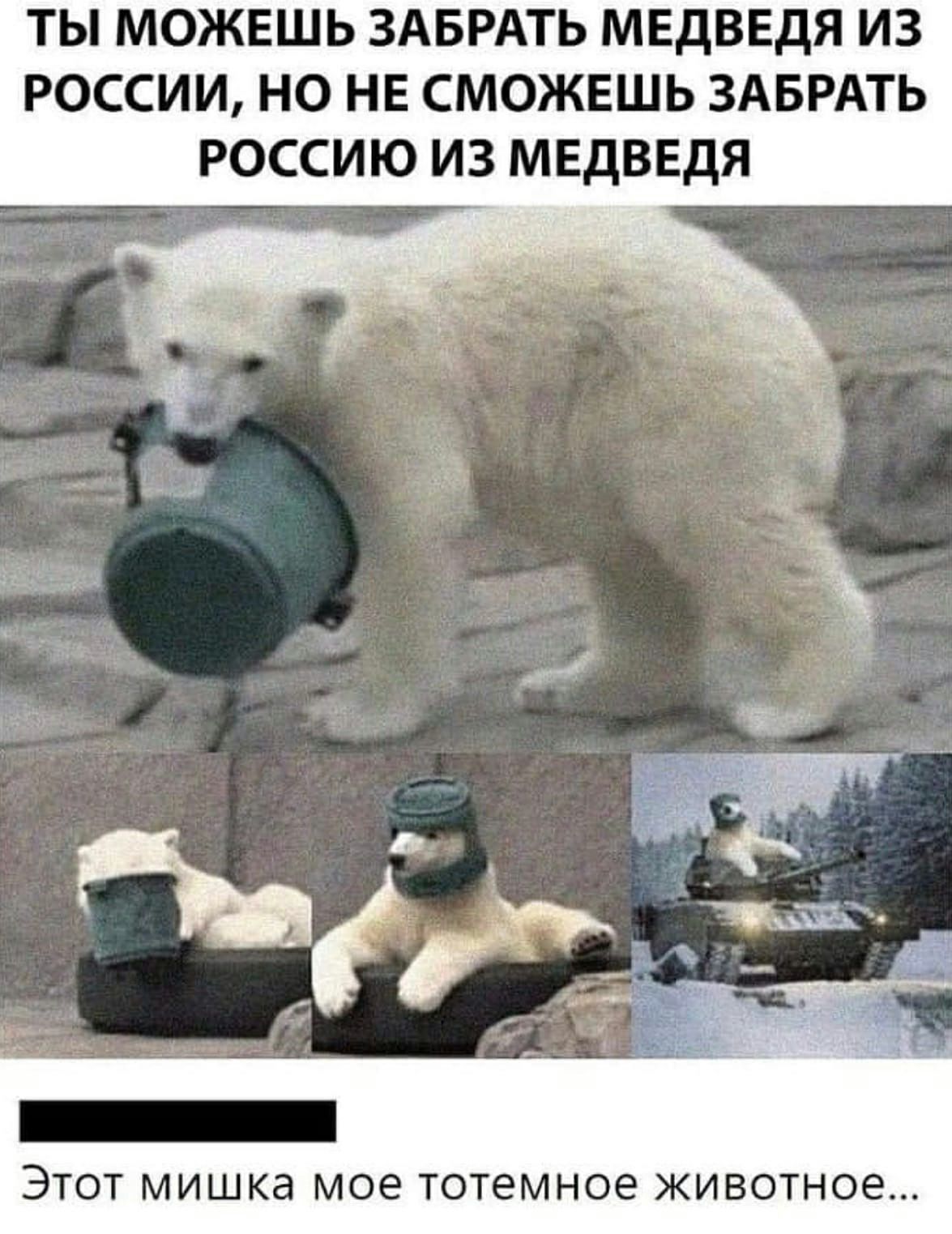 ТЫ МОЖЕШЬ ЗАБРАТЬ МЕДВЕДЯ ИЗ РОССИИ НО НЕ СМОЖЕШЬ ЗАБРАТЬ РОССИЮ ИЗ МЕДВЕДЯ ЭТОТ МИШКд мое ТОТЭМНОЭ ЖИВОТНОЭ