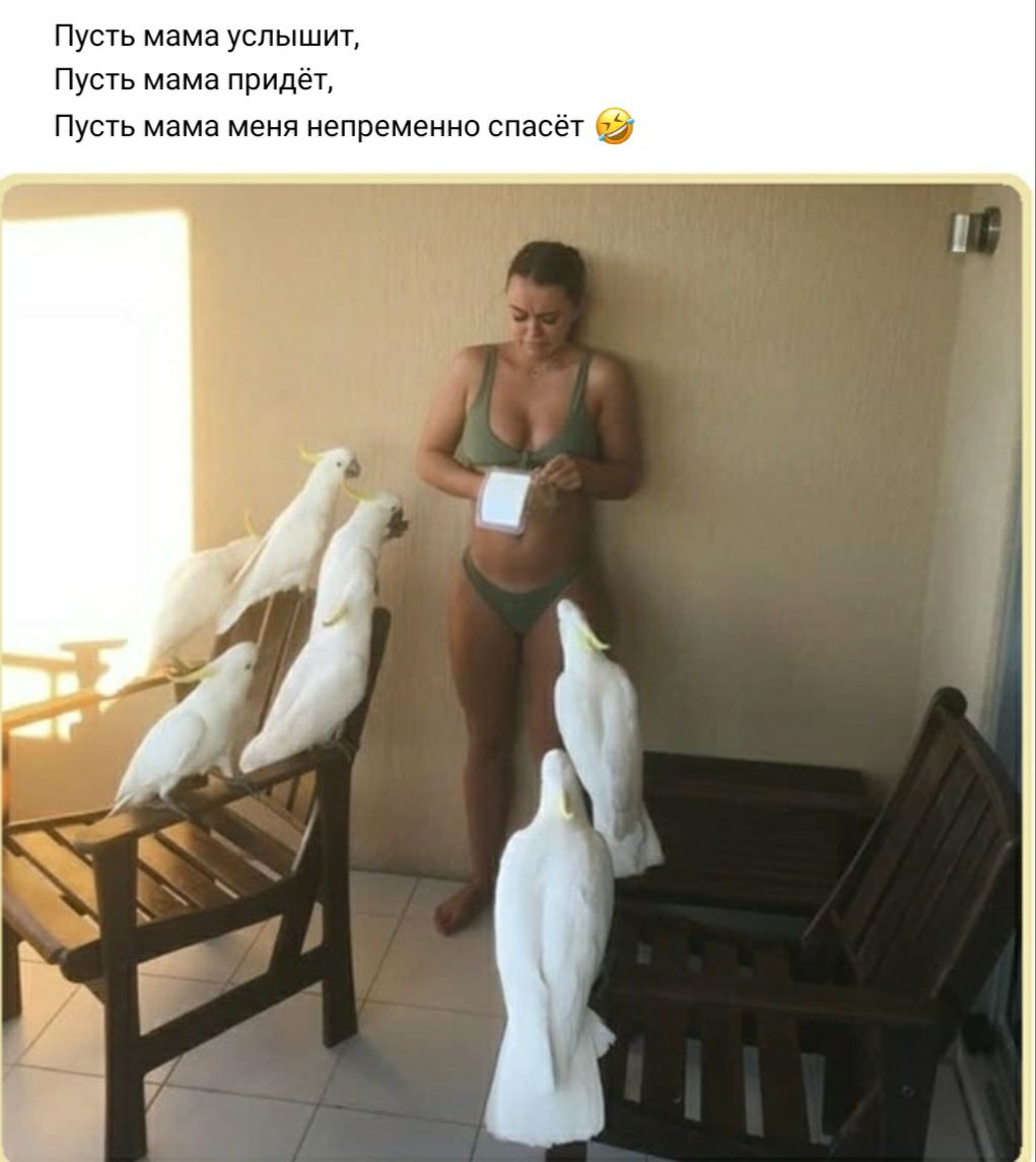 Пусть мама услышит Пусть мама придёт Пусть мама меня непременно спасёт