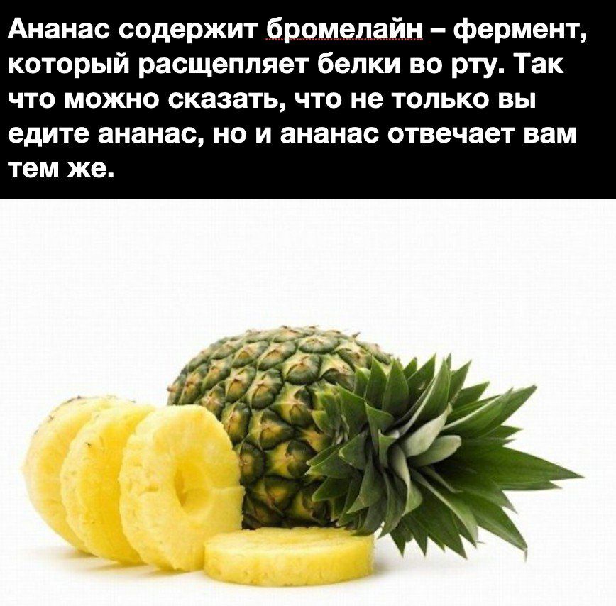 Ананас содержит бромелайн фермент который расщепляет белки во рту Так что можно сказать что не только вы едите ананас но и ананас отвечает вам тем же