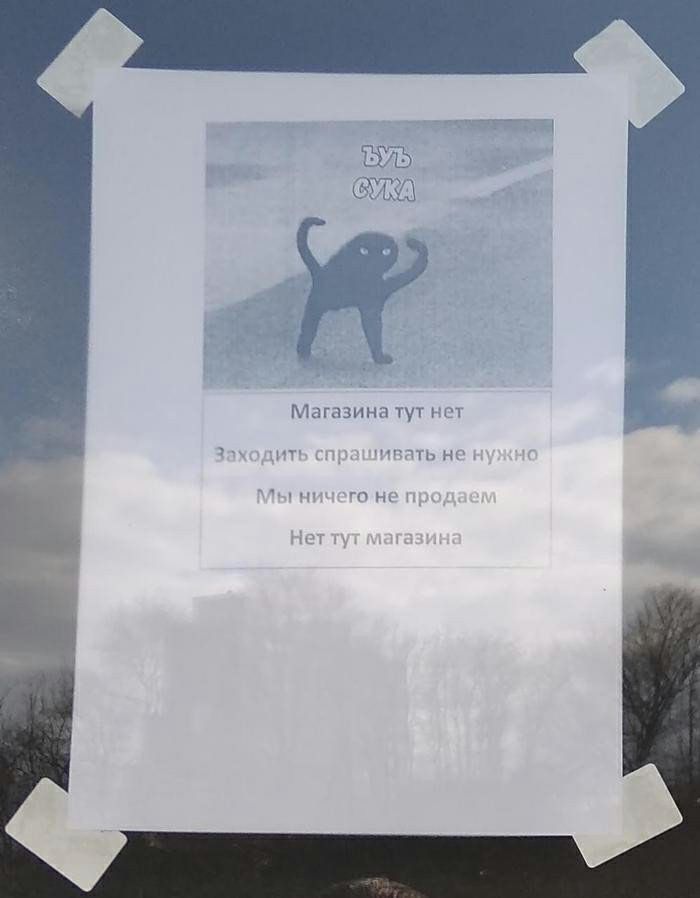 гинми и н в