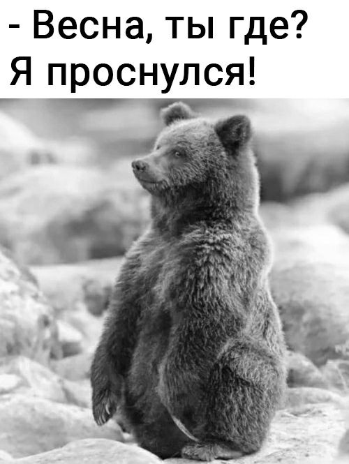 Весна ты где Я проснулся