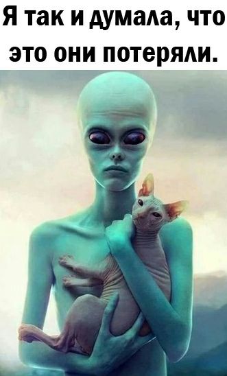 Я так и думала что это они потеряли