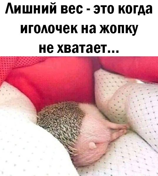 Аишний вес это когда игодочек на жопку _не хватает