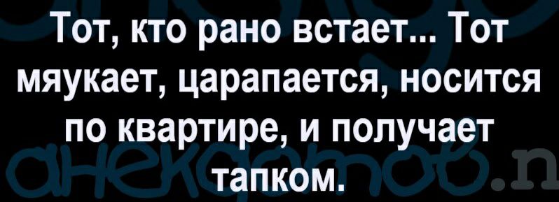 Тот кто рано встает Тот мяукает царапается носится по квартире и получает тапком