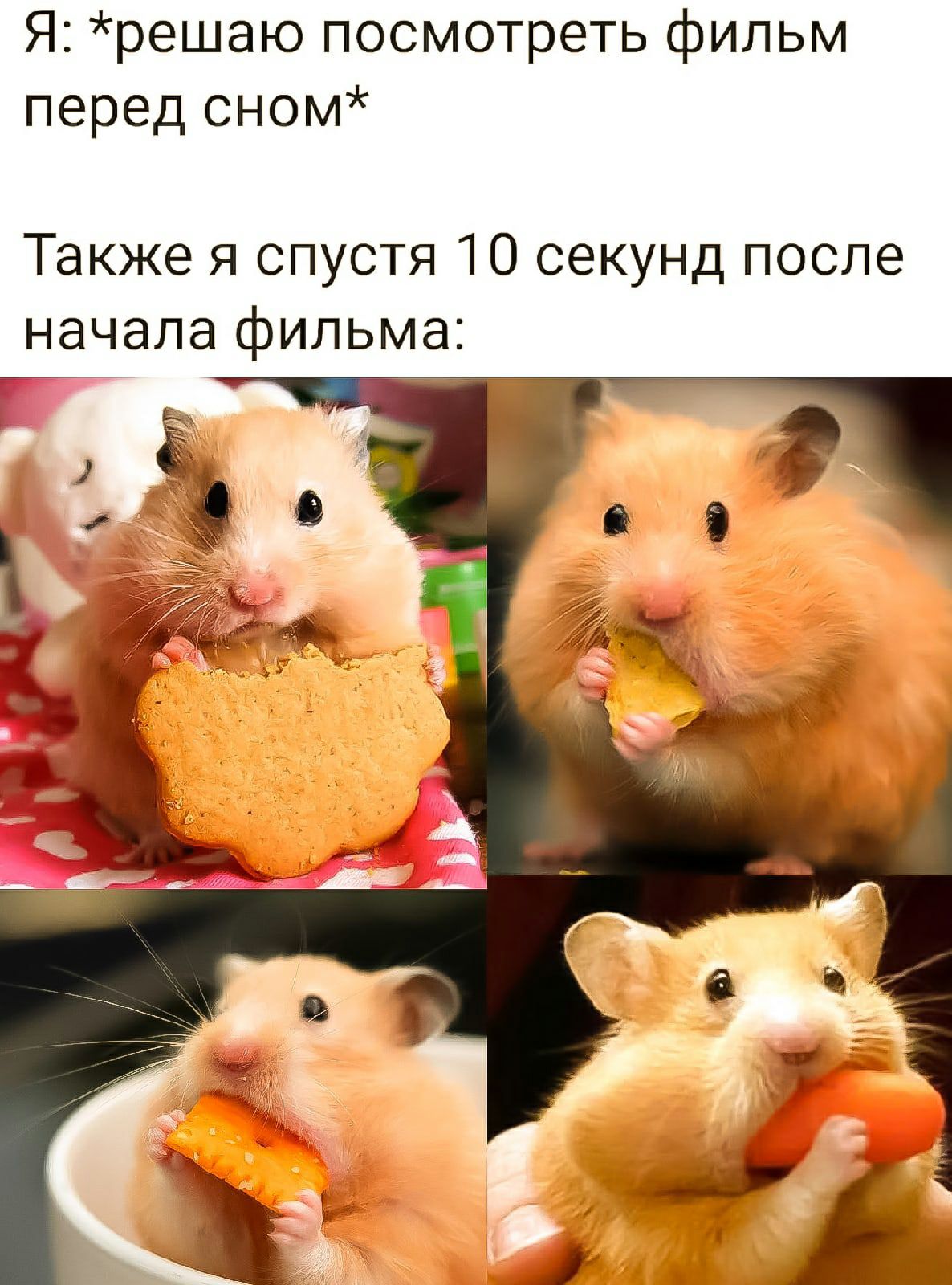 Я решаю посмотреть фильм перед сном Также я спустя 10 секунд после начала фильма пт