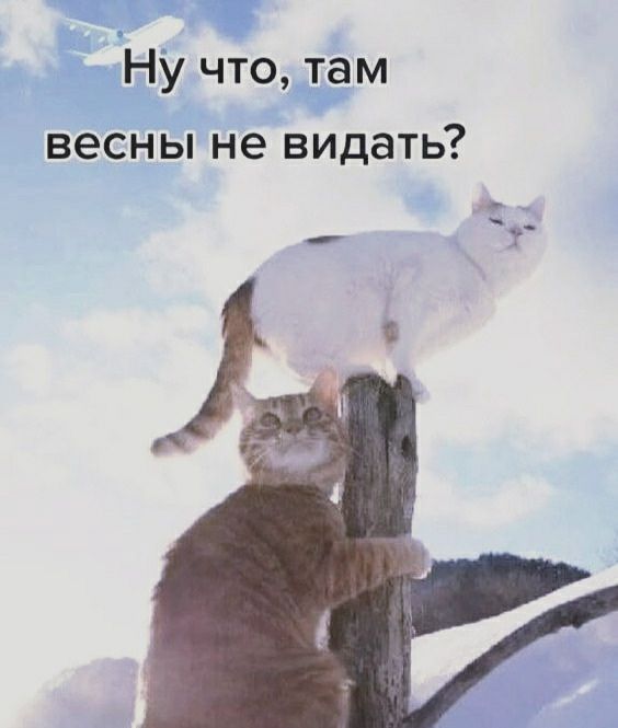 НУ что там весны не видать