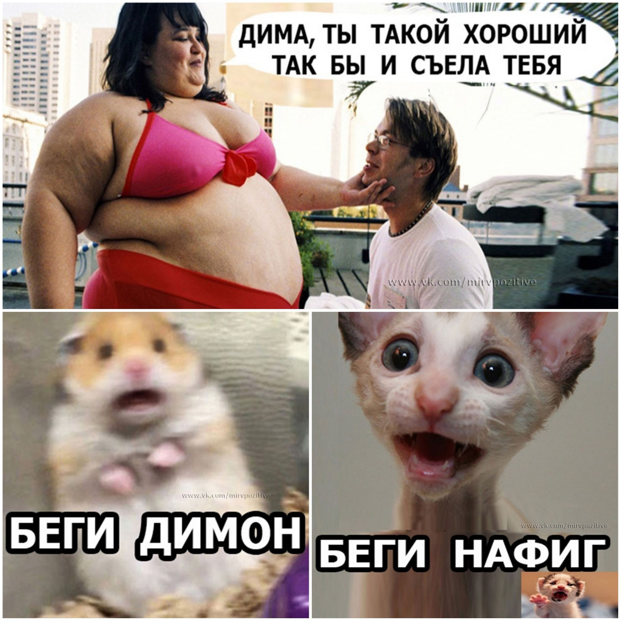 нм ДИМА ТЫ ТАКОЙ ХОРОШИЙ ТАК БЫ И СЪЕЛА ТЕБЯ 27
