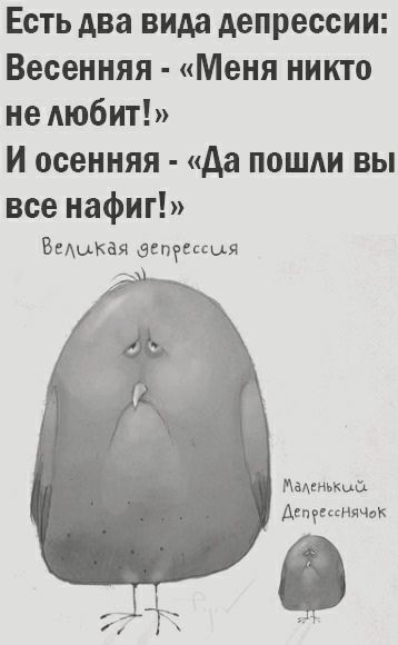 Есть два вида депрессии Весенняя Меня никто не Аюбит И осенняя да пошли вы все нафиг Замыкая акпеіссыя минный Двпгвсснячи