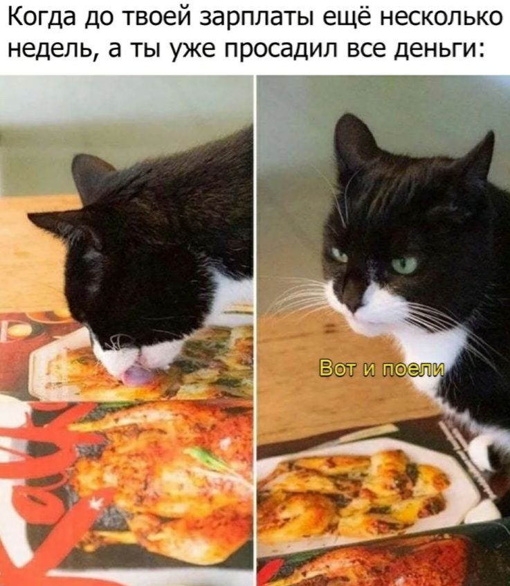 Когда до твоей зарплаты ещё несколько недель а ты уже просадил все деньги
