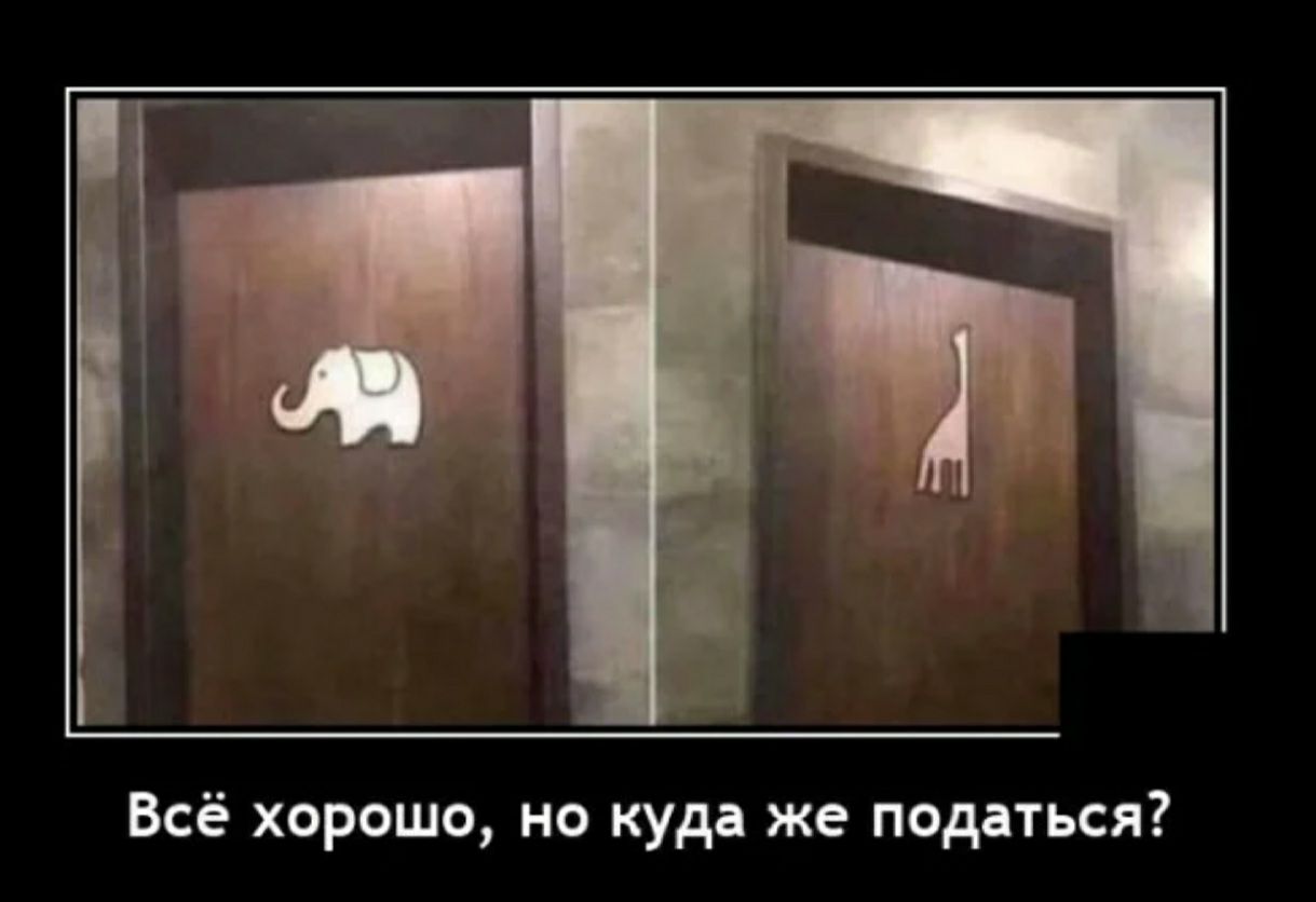 Всё хорошо но куда же податься