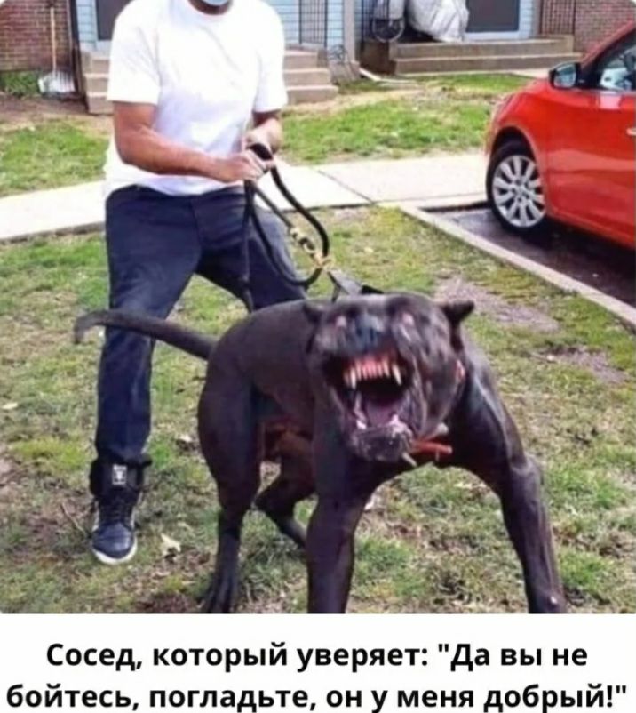 Сосед который уверяет да вы не бойтесь погла_ьте он меня _об ый