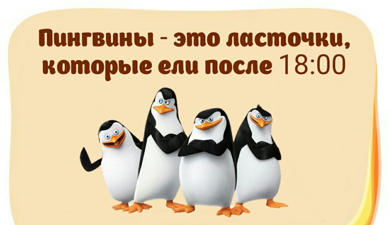 Пингвины это листочки которые ели после 1 800